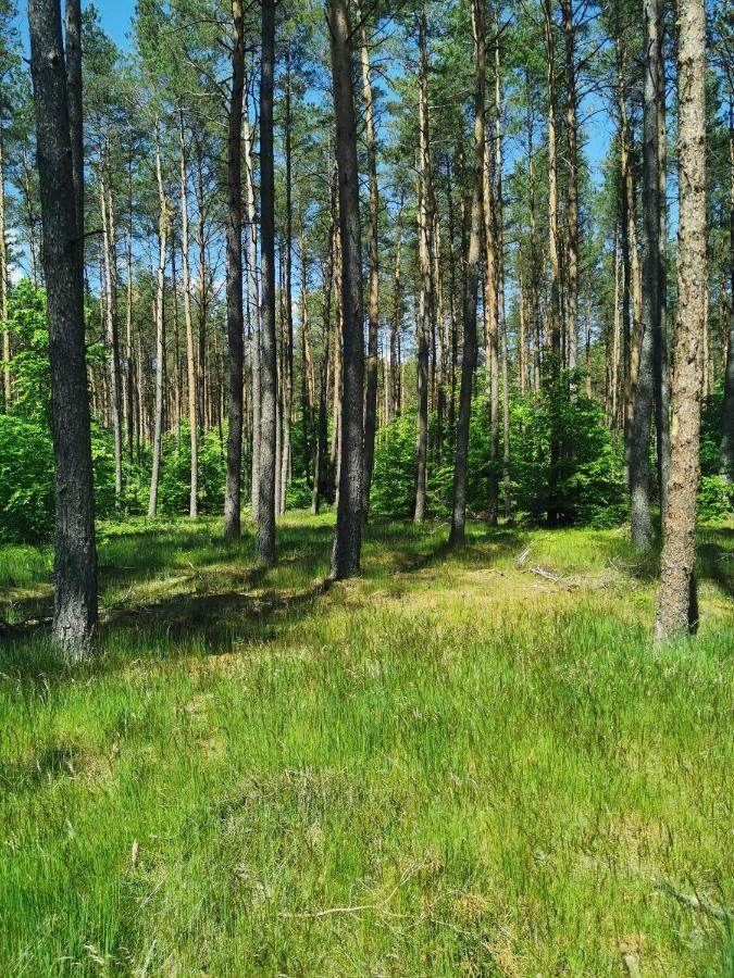 Kaszuby W Ostoja Bukowo - U Malgoski Domek 6 Z Widokiem Na Las I Internetem Villa Borowy Mlyn Exterior foto