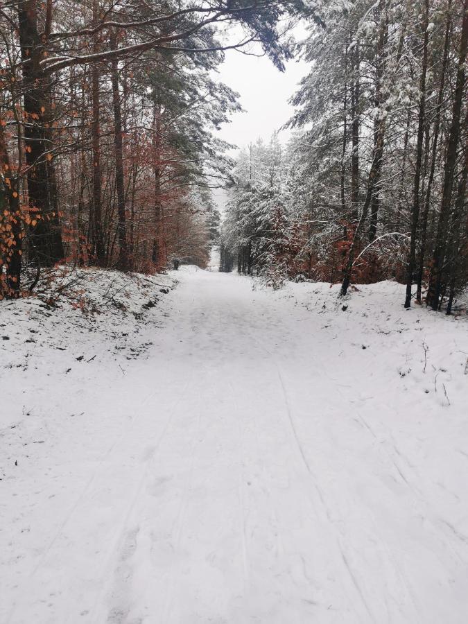 Kaszuby W Ostoja Bukowo - U Malgoski Domek 6 Z Widokiem Na Las I Internetem Villa Borowy Mlyn Exterior foto