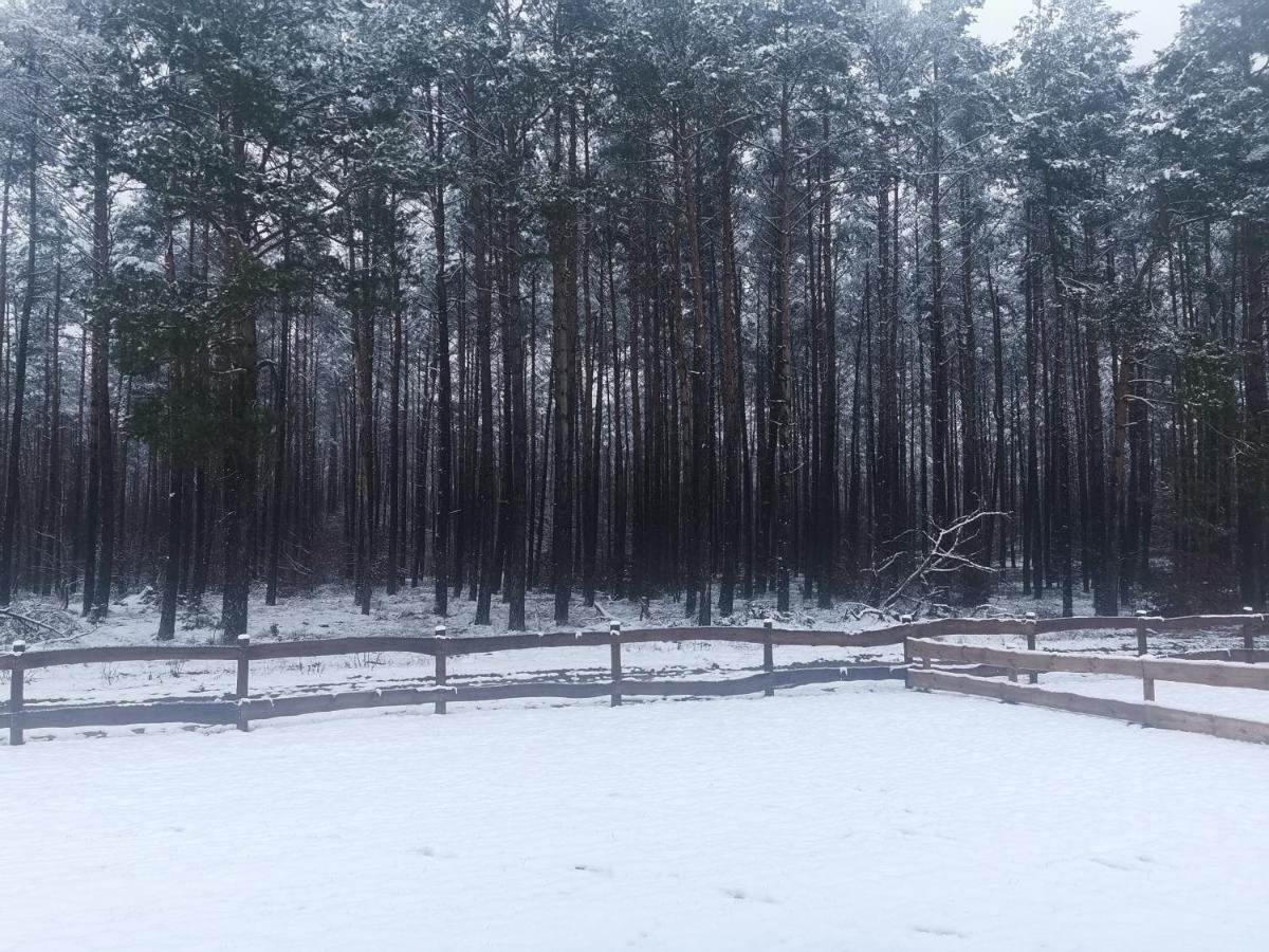 Kaszuby W Ostoja Bukowo - U Malgoski Domek 6 Z Widokiem Na Las I Internetem Villa Borowy Mlyn Exterior foto