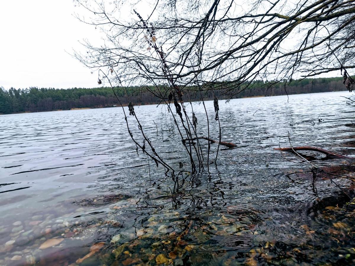 Kaszuby W Ostoja Bukowo - U Malgoski Domek 6 Z Widokiem Na Las I Internetem Villa Borowy Mlyn Exterior foto