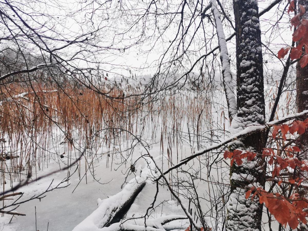 Kaszuby W Ostoja Bukowo - U Malgoski Domek 6 Z Widokiem Na Las I Internetem Villa Borowy Mlyn Exterior foto